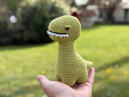 Rnata - Baby Dinosaurus Pattern PDF