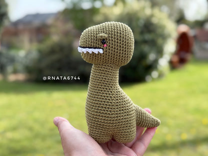Rnata - Baby Dinosaurus Pattern PDF
